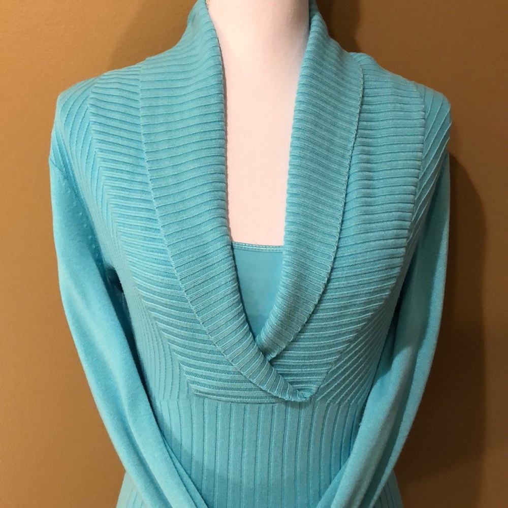 Reduced-well below market - CACHED FITTED SWEATER